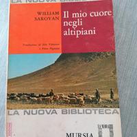 Il mio cuore negli altipiani