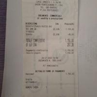 Ebike bicicletta elettrica a pedalata assistita