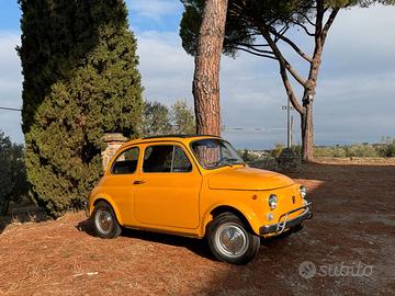 Fiat 500 L 1971