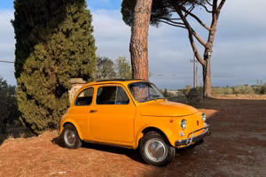 Fiat 500 L 1971