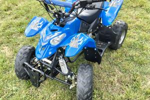 Quad WT motors