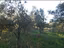 Immagine 27