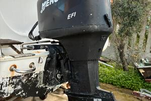 Mercury 200 due tempi iniezione