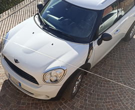 Mini Countryman One D