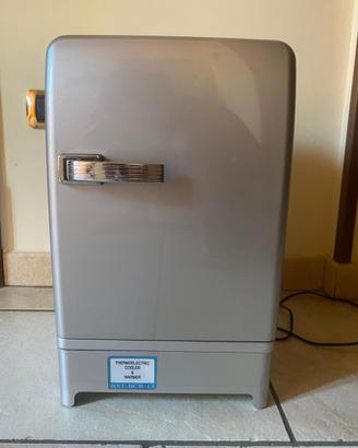 Mini Frigo Portatile Termoelettrico Modello BCR-13