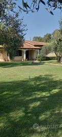Villa con ampio giardino