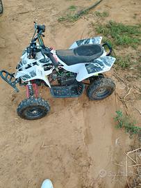 Quad 50