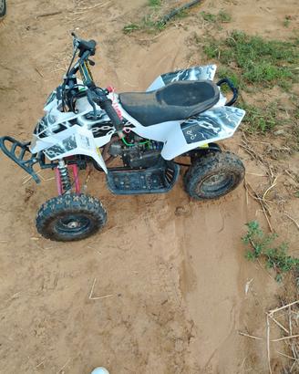 Quad 50