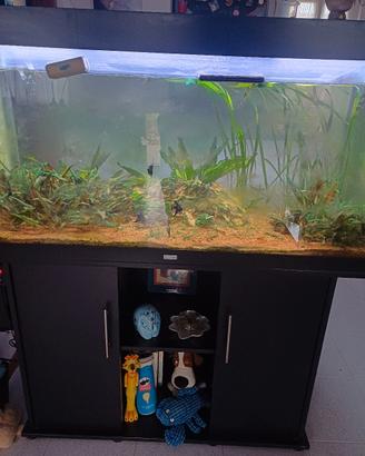 acquario juwel 360 con mobile 