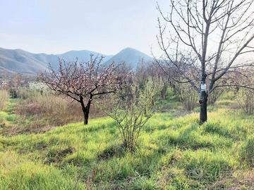 Terreno in ambito di trasformazione produttiva