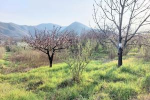 Terreno in ambito di trasformazione produttiva