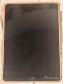 iPad 9ª Generazione - 256GB - Wifi