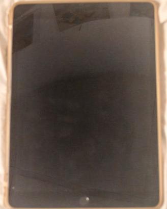 iPad 9ª Generazione - 256GB - Wifi