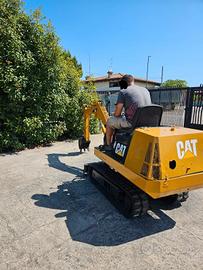 E246- Escavatore Caterpillar
