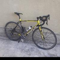 Bici corsa Focus Cayo Evo Ultegra