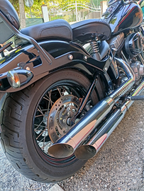 Harley Davidson Cross Bones
