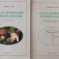 n.2 libri per conoscere i funghi