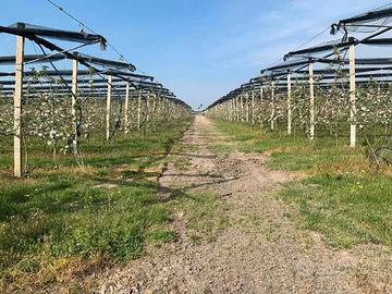 RGE 133/2022 Tribunale Verona - Lotto 6)