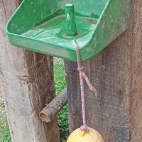 Porta sale per cavalli 