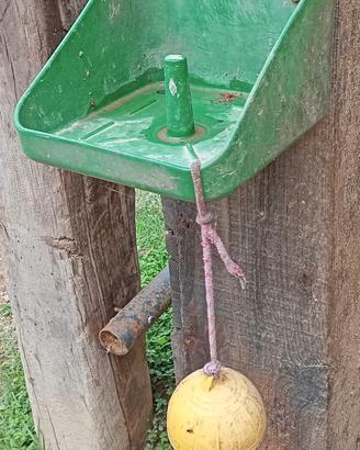 Porta sale per cavalli 