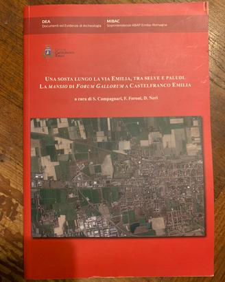 Forum Gallorum a Castelfranco Emilia