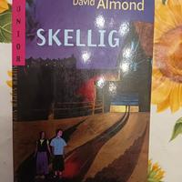 Libro autore David Almond
