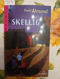 Libro autore David Almond