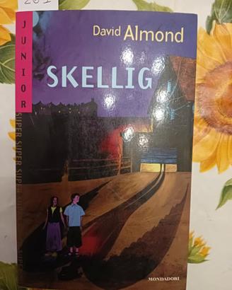 Libro autore David Almond