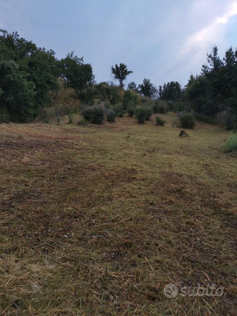 Terreno Agricolo - Vista 4