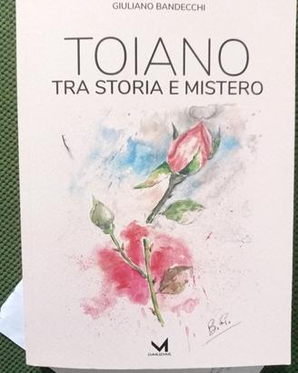"TOIANO tra storia mistero '