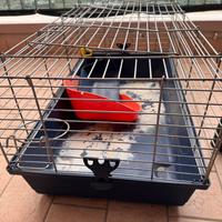 Vendi gabbia per coniglio nano o procavie