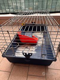 Vendi gabbia per coniglio nano o procavie