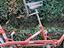 Immagine 4