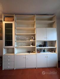 Libreria con vetrina e sportelli