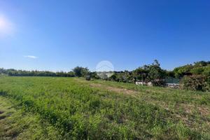 TER. AGRICOLO A MISANO ADRIATICO