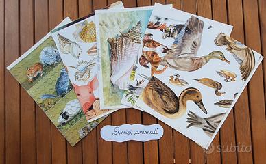 Carte découpage Amici Animali 5 fogli