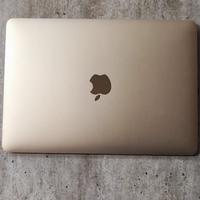 MacBook retina 12 pollici