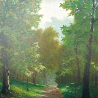 il grande albero del parco Maria Luisa sartoretti 