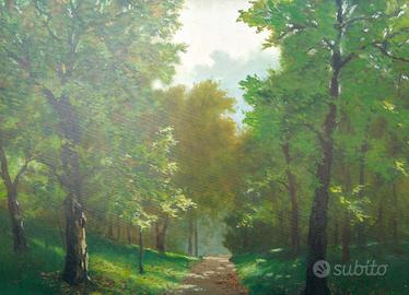 il grande albero del parco Maria Luisa sartoretti 