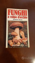 I funghi a colpo d'occhio di Umberto Nonis