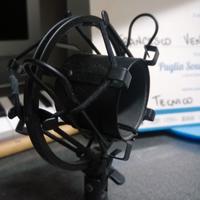 Ragno Antiurto professionale per microfono