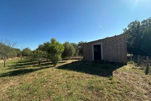 Terreno Agricolo Nepi [Cod. rif 3249415VCG]