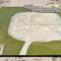 Elementi scenici: terreno diorama