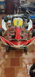 go-kart pronto per pista