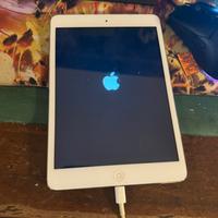 Ipad mini