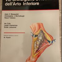 Atlante delle vie chirurgiche d'accesso dell'arto