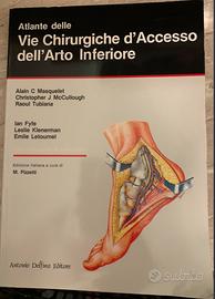 Atlante delle vie chirurgiche d'accesso dell'arto