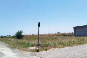 Terreno Torre Santa Susanna