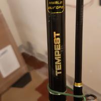 Taurus tempest bolentino di fondale