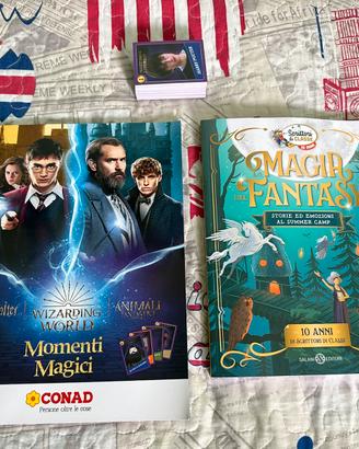 Harry Potter Card Conad Magia Fantasy Salani